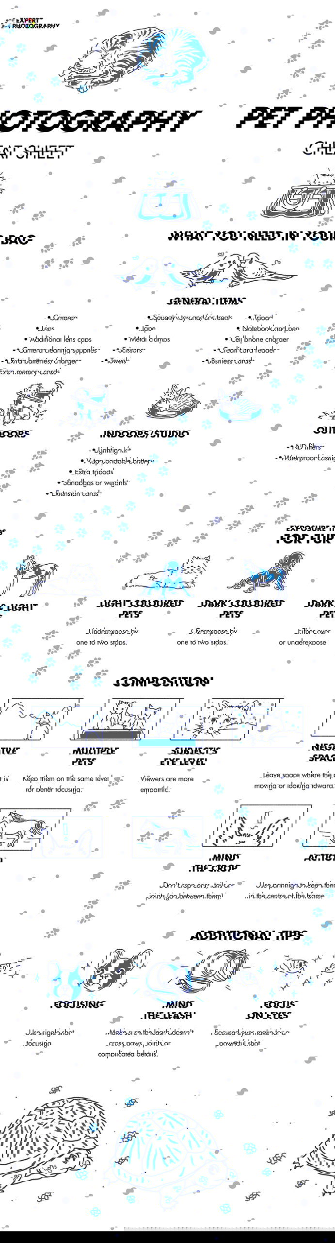 pet photography cheat sheet